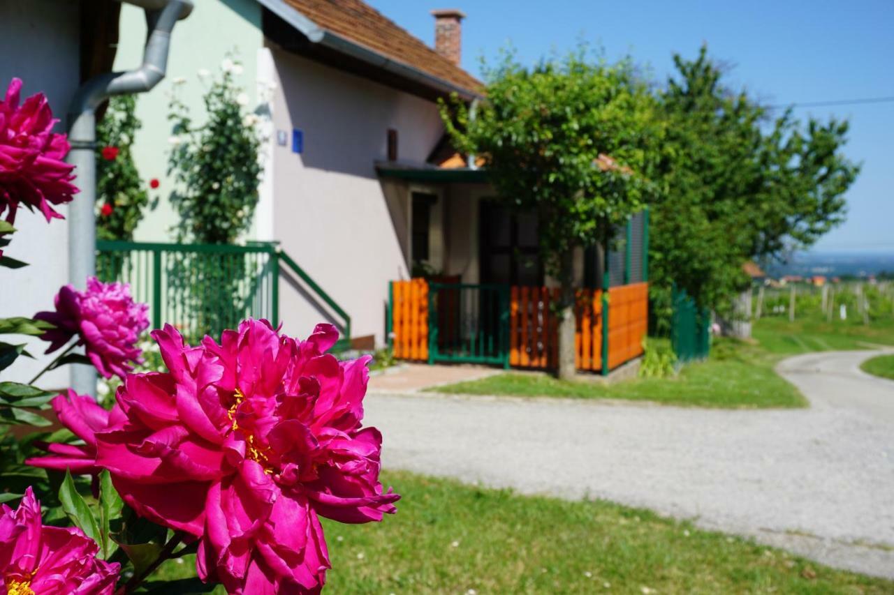 Holiday Home Maderka Strigova Ngoại thất bức ảnh
