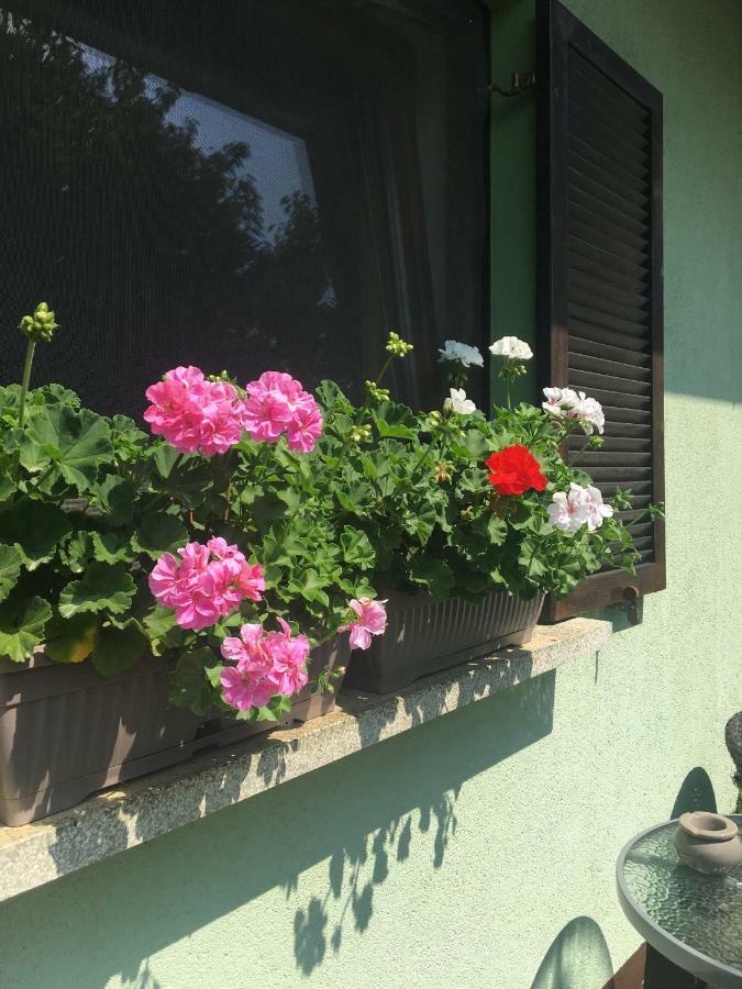 Holiday Home Maderka Strigova Ngoại thất bức ảnh